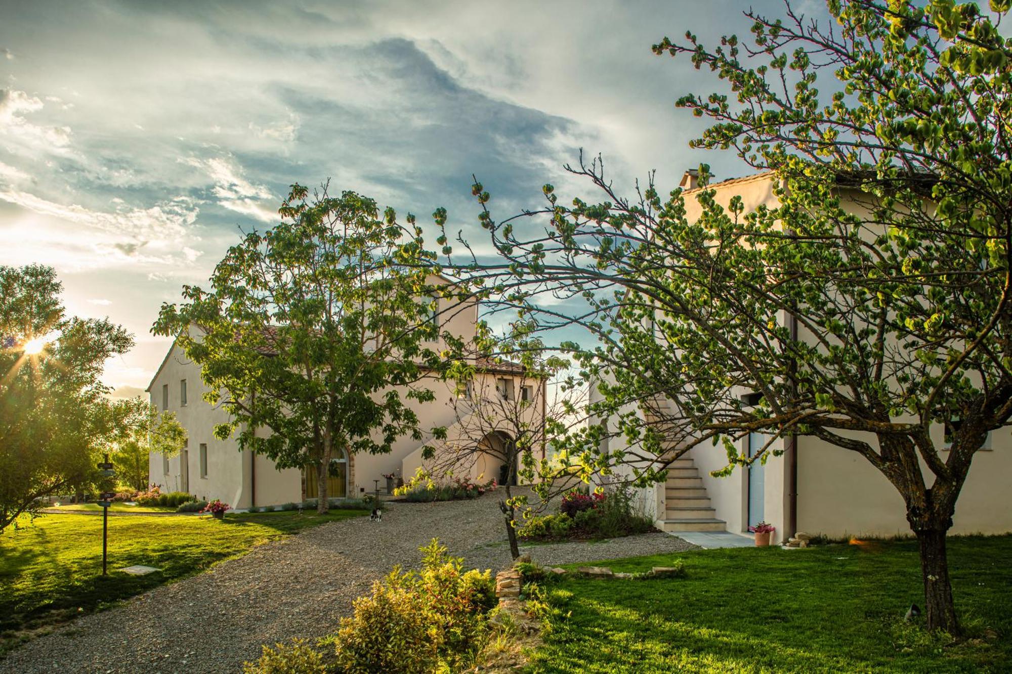 Bed and Breakfast Relais Borgo Elissa Чертальдо Екстер'єр фото